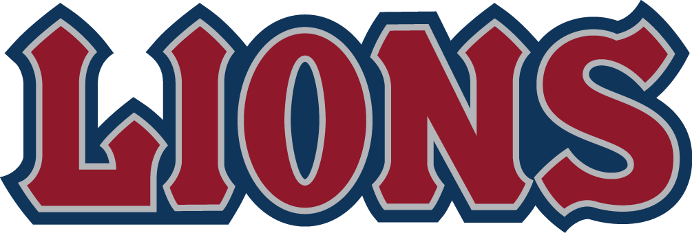 Loyola Marymount Lions 2008-2018 Wordmark Logo v2 iron on transfers for clothing